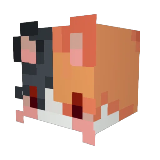 CatLover93133 Minecraft avatar head, 3D render
