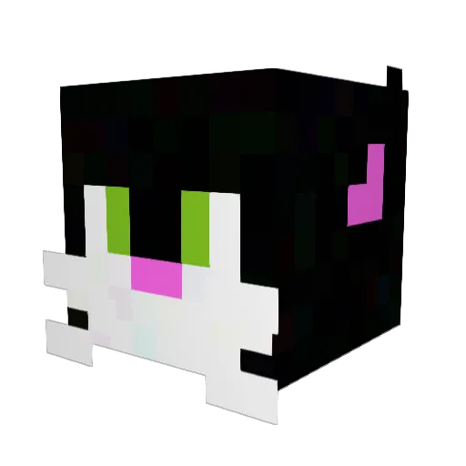 CatMocka_ Minecraft avatar head, 3D render