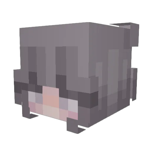 CatMonster2 Minecraft avatar head, 3D render