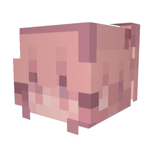 CatNene Minecraft avatar head, 3D render