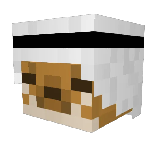 CatNose Minecraft avatar head, 3D render