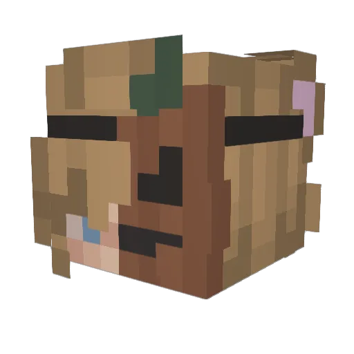 CatRekt Minecraft avatar head, 3D render