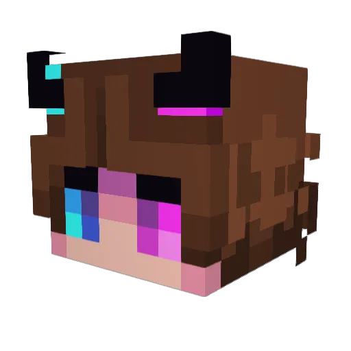 CatRoo_ Minecraft avatar head, 3D render
