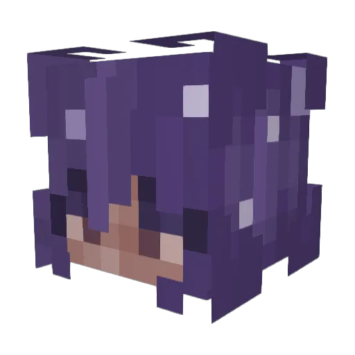 CatRosmo Minecraft avatar head, 3D render