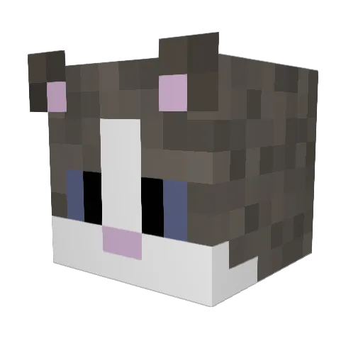 CatSprinkles Minecraft avatar head, 3D render