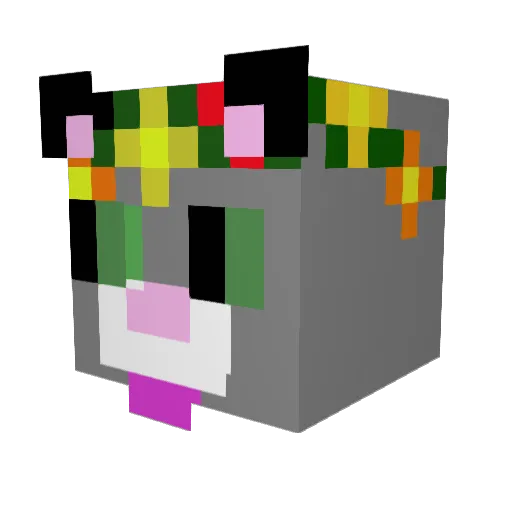 CatTailPlayz Minecraft avatar head, 3D render