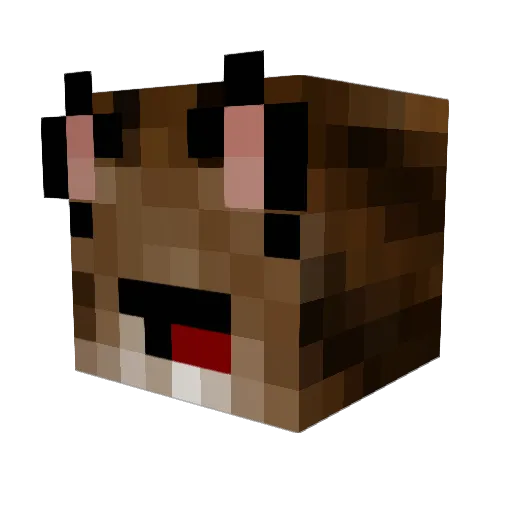CatTamer1127 Minecraft avatar head, 3D render