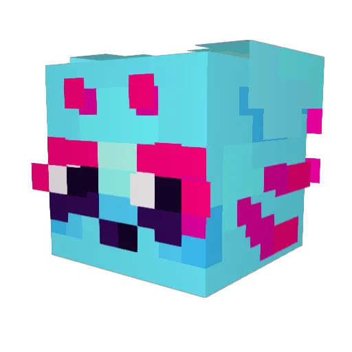 CatTheCat111 Minecraft avatar head, 3D render