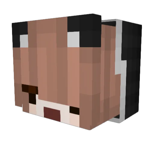 CatTheHumanCat Minecraft avatar head, 3D render