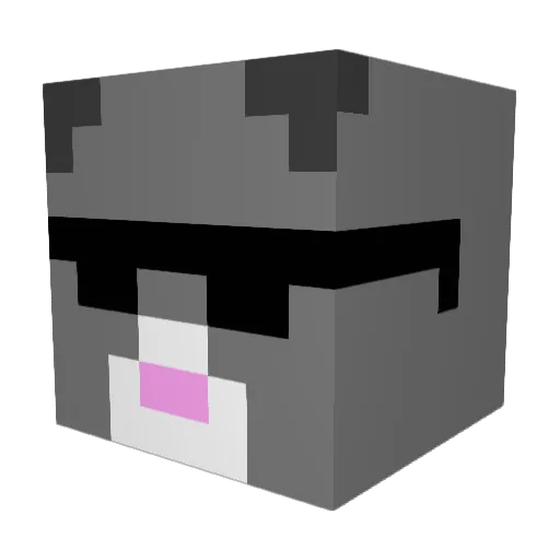CatWitDatGat Minecraft avatar head, 3D render