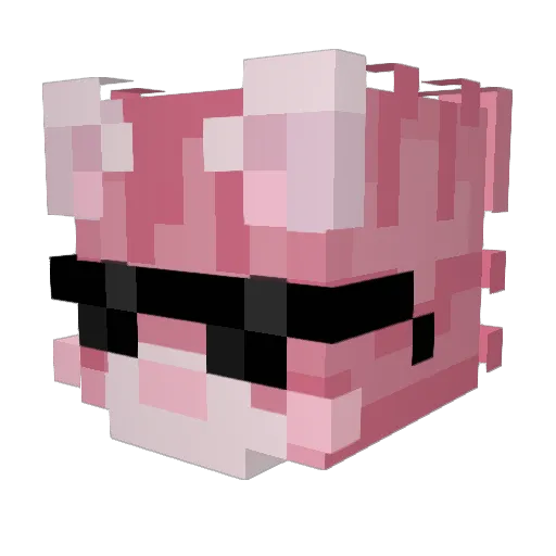 CatZmaster Minecraft avatar head, 3D render