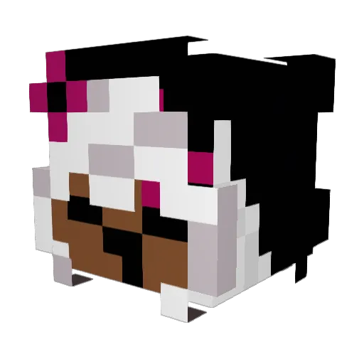 Cat_246 Minecraft avatar head, 3D render