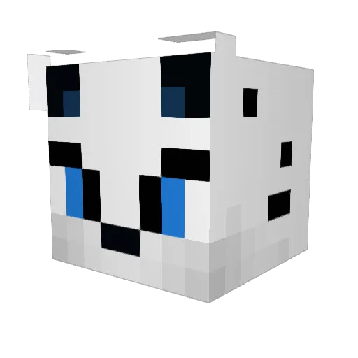 Cat_Bori Minecraft avatar head, 3D render