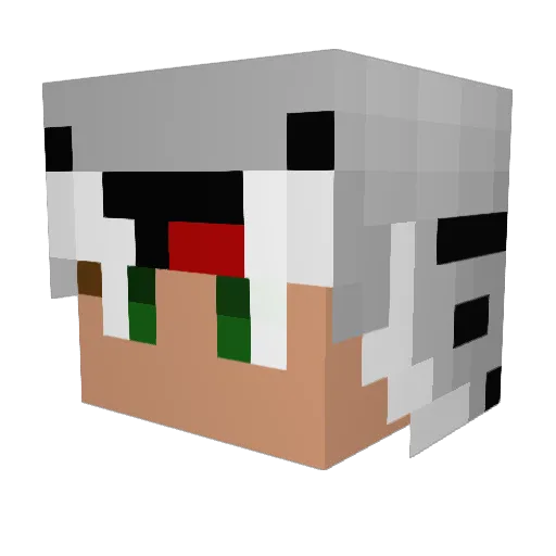 Cat_Catterson Minecraft avatar head, 3D render