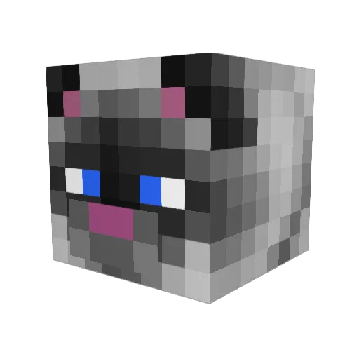 Cat_Commander Minecraft avatar head, 3D render
