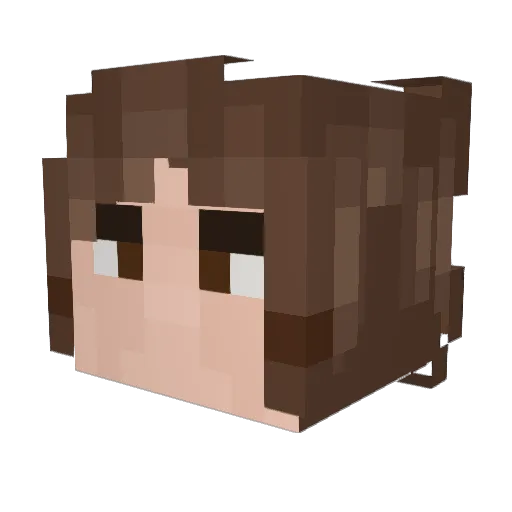 Cat_Food Minecraft avatar head, 3D render