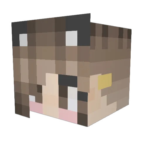 Cat_Lover19 Minecraft avatar head, 3D render
