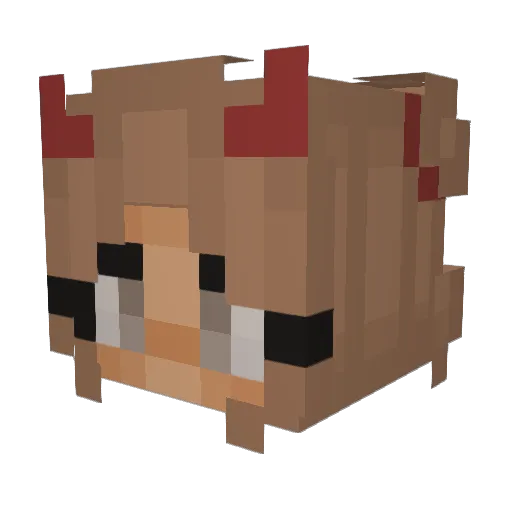 Cat_Paradox Minecraft avatar head, 3D render