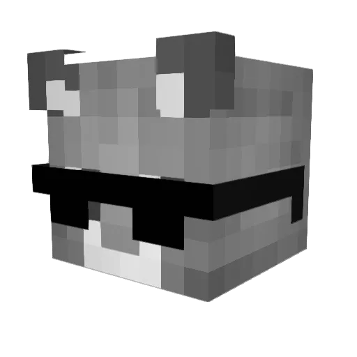 Cat_Pupok Minecraft avatar head, 3D render