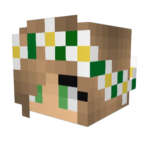 Cat_Queen1346 Minecraft avatar head, 3D render