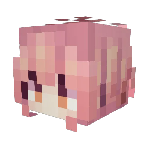 Cat_SnowY Minecraft avatar head, 3D render