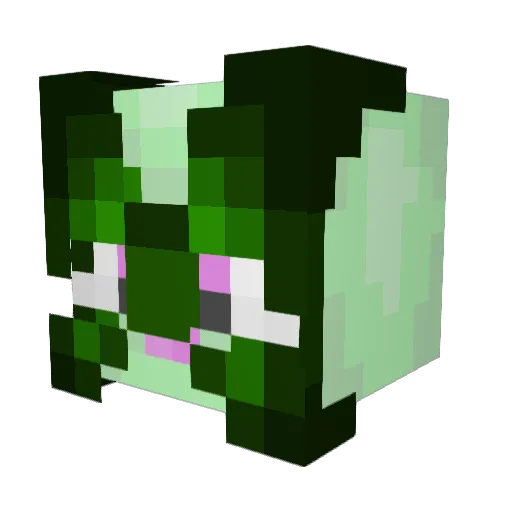 Cat_Soup_16 Minecraft avatar head, 3D render
