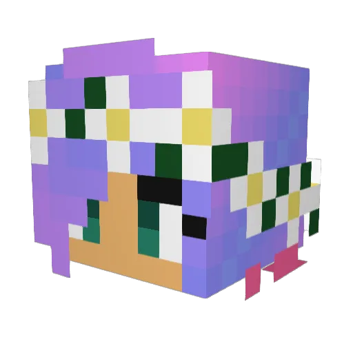 Cat_Star010 Minecraft avatar head, 3D render