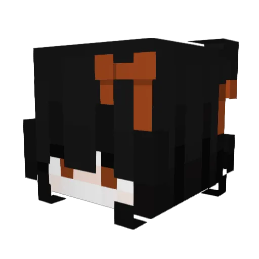 Cat_With_A_K Minecraft avatar head, 3D render