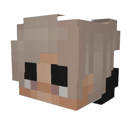 Cata_Master_FTW Minecraft avatar head, 3D render