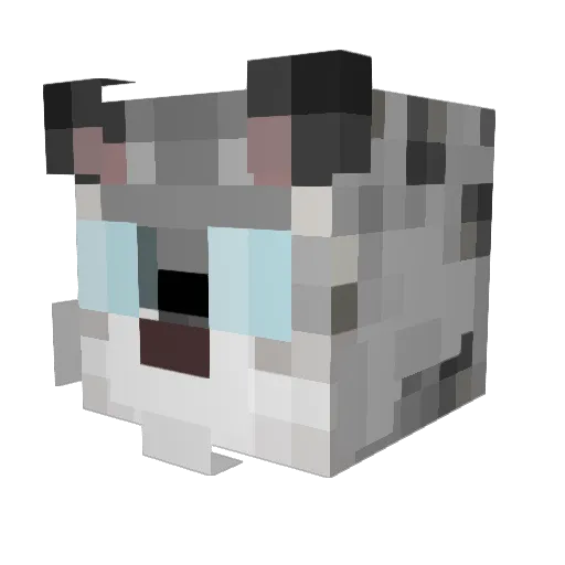 Cataclave Minecraft avatar head, 3D render