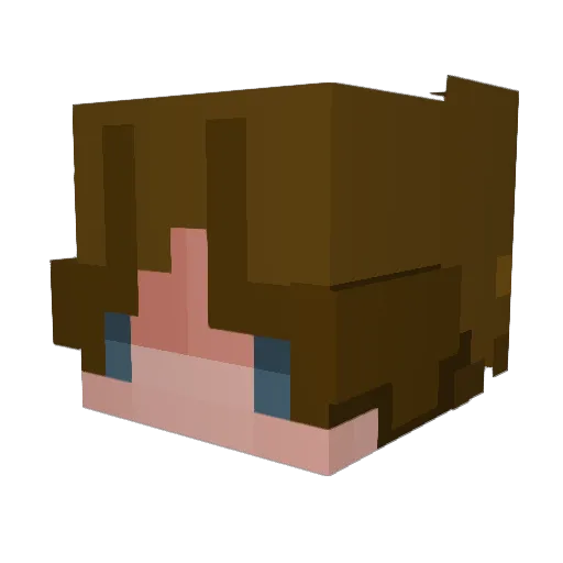 Cataglia Minecraft avatar head, 3D render