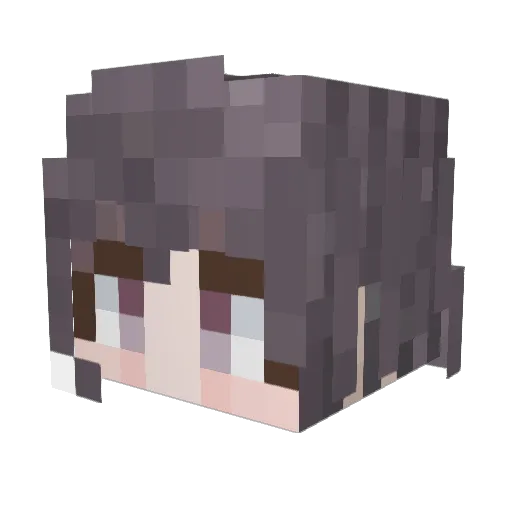 Cataki_ Minecraft avatar head, 3D render