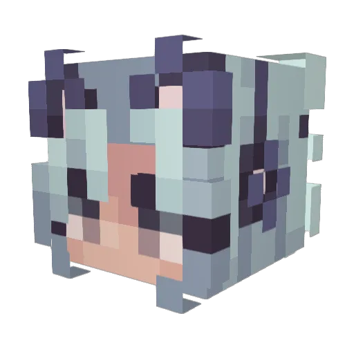Catakis Minecraft avatar head, 3D render
