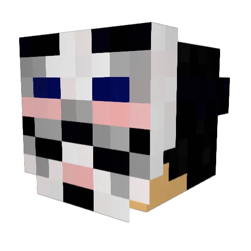 CatalinBoy Minecraft avatar head, 3D render