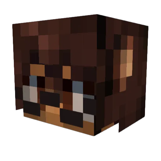 Catalysp Minecraft avatar head, 3D render