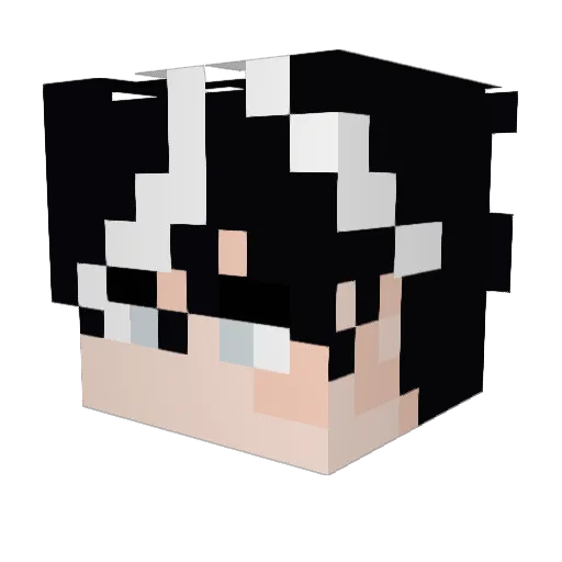 Catangaroo Minecraft avatar head, 3D render