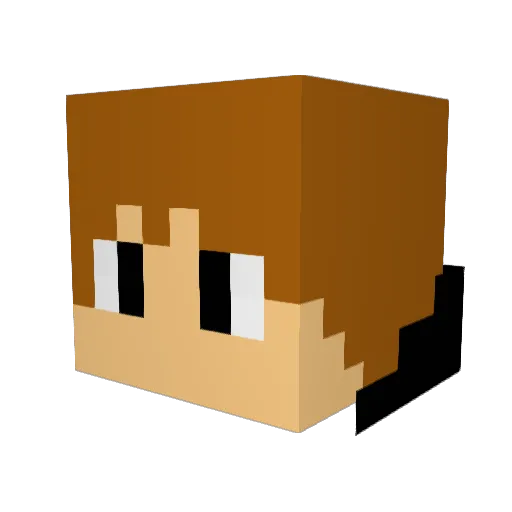 Catapane Minecraft avatar head, 3D render