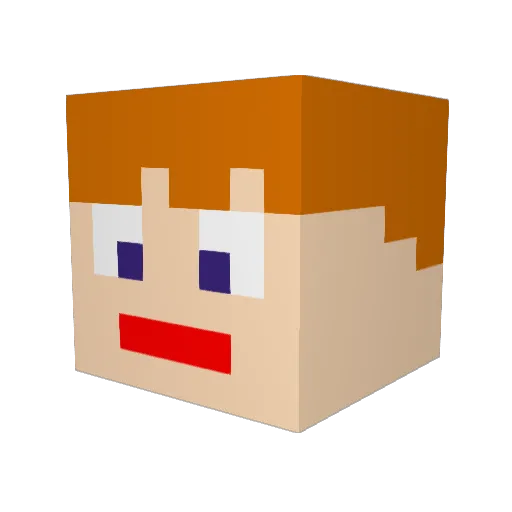 Catarompany Minecraft avatar head, 3D render