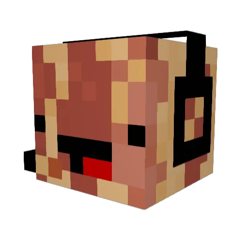 CatastrophicCat Minecraft avatar head, 3D render