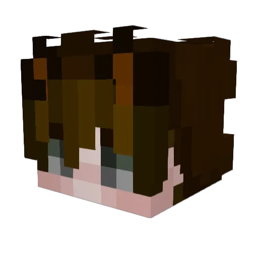 CatboyHugo Minecraft avatar head, 3D render