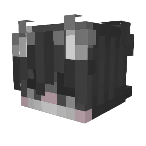 CatboyIRL Minecraft avatar head, 3D render