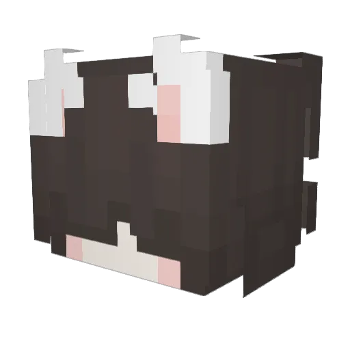 CatboyWaffen Minecraft avatar head, 3D render