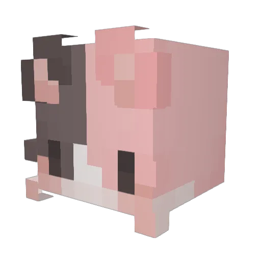 Catboynya69 Minecraft avatar head, 3D render