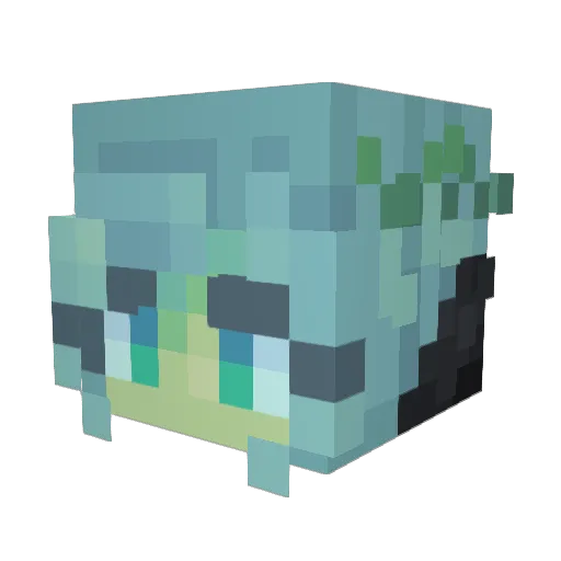 CatchTheDrift69 Minecraft avatar head, 3D render