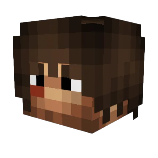 CatchallAxis223 Minecraft avatar head, 3D render