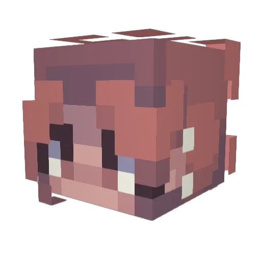 CatchingZeeeees Minecraft avatar head, 3D render