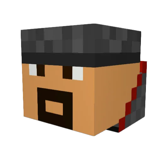 Catd9 Minecraft avatar head, 3D render