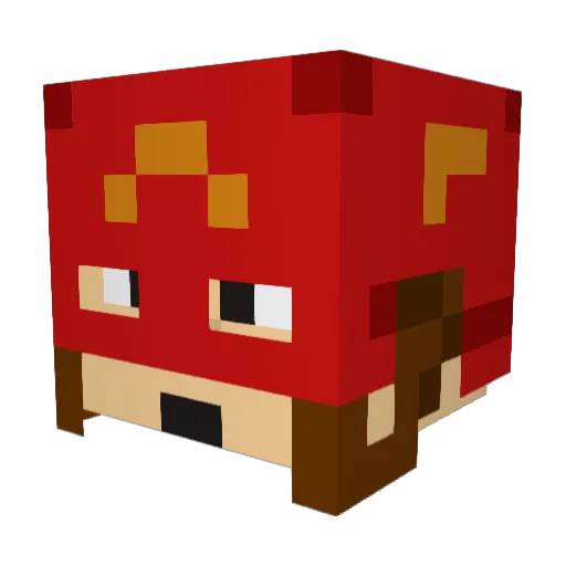 Catdaddy_parker Minecraft avatar head, 3D render