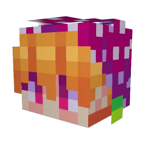 Category_5 Minecraft avatar head, 3D render