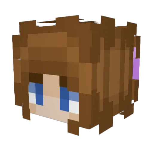 Catface11 Minecraft avatar head, 3D render
